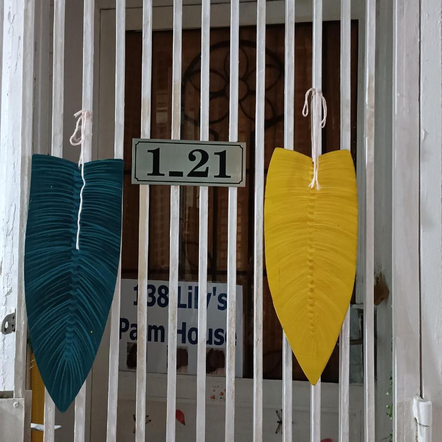 胡志明市121 Lily'S Palm House公寓 外观 照片